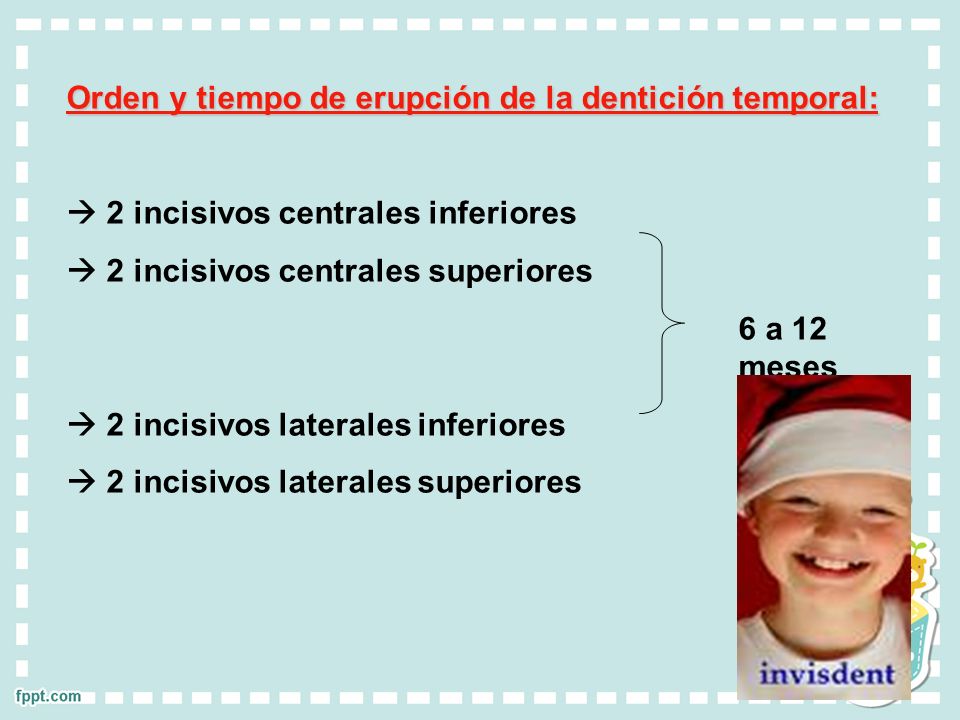 Orden y tiempo de erupción de la dentición temporal: