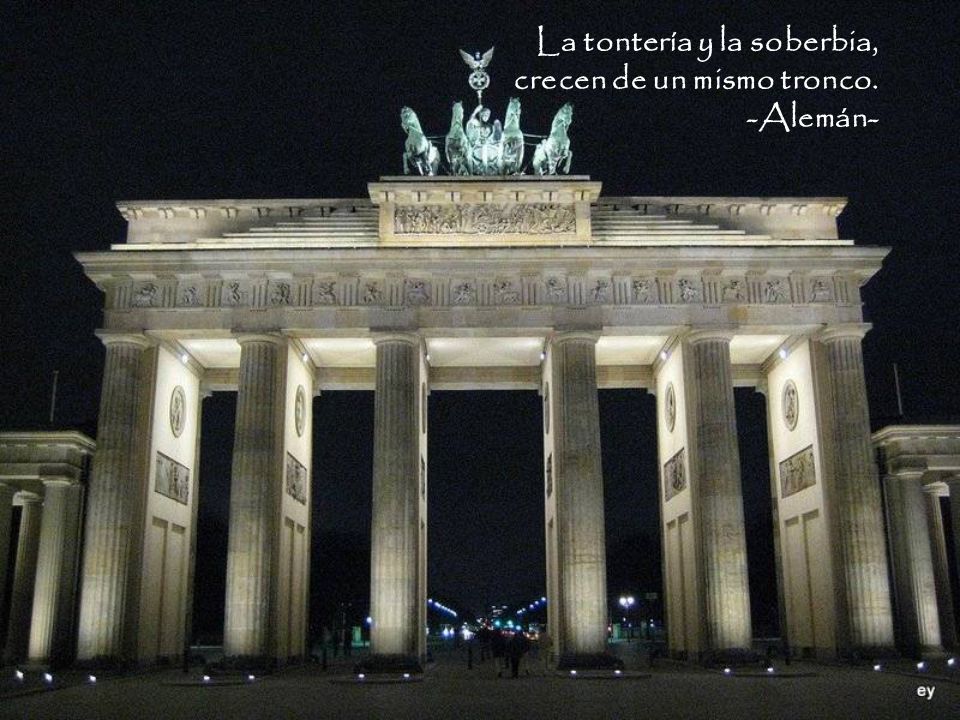 La tontería y la soberbia, crecen de un mismo tronco. -Alemán-