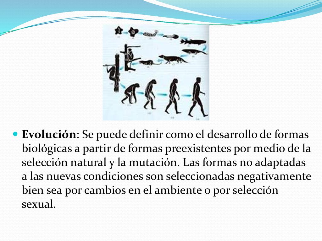 Evolución: Se puede definir como el desarrollo de formas biológicas a partir de formas preexistentes por medio de la selección natural y la mutación.