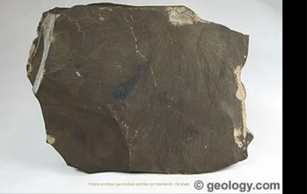 Pizarra arcillosa que produce petróleo por destilación. Oil shale.