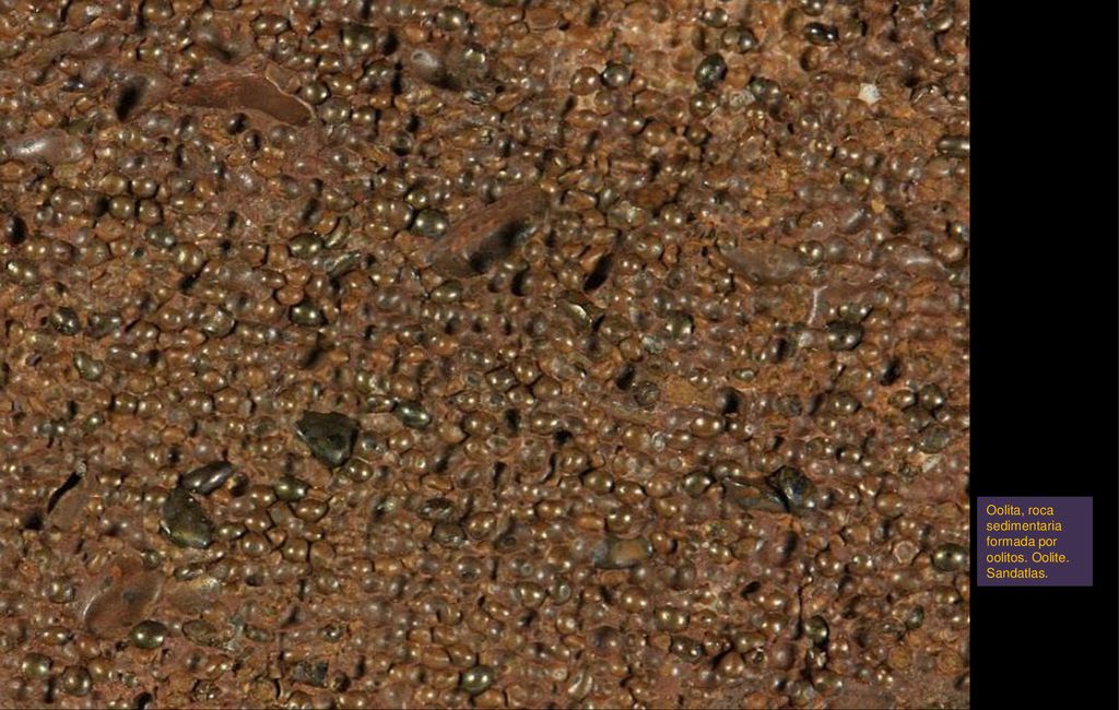 Oolita, roca sedimentaria formada por oolitos. Oolite. Sandatlas.