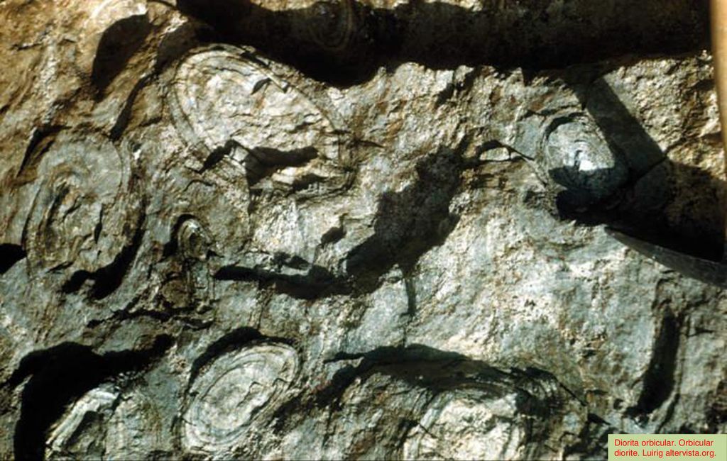 Diorita orbicular. Orbicular diorite. Luirig altervista.org.