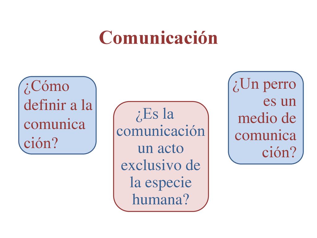 ¿Es la comunicación un acto exclusivo de la especie humana