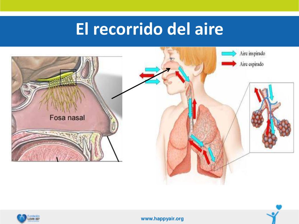 El recorrido del aire   3