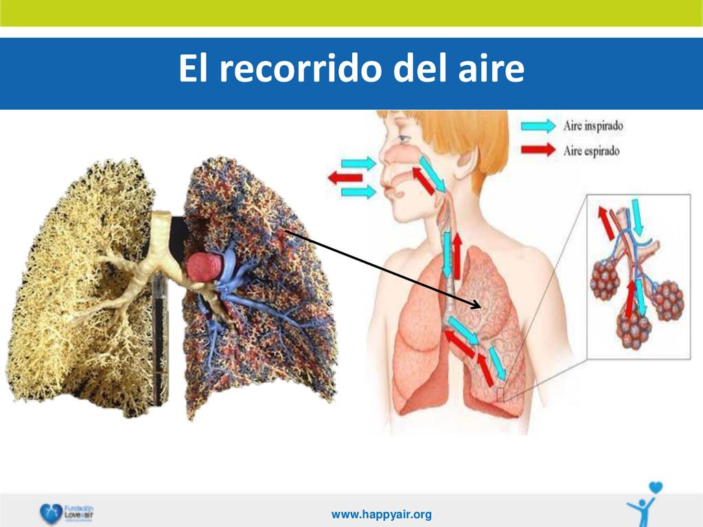 El recorrido del aire   6
