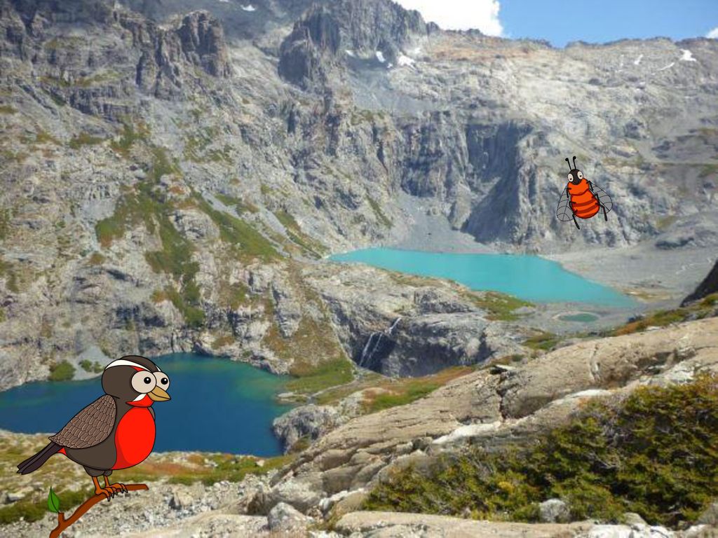 Fotografía: Cajón del Río Achibueno Linares, Longaví y Colbún, Región del Maule, a aproximadamente 20 km hacia el sureste de la ciudad de Linares.