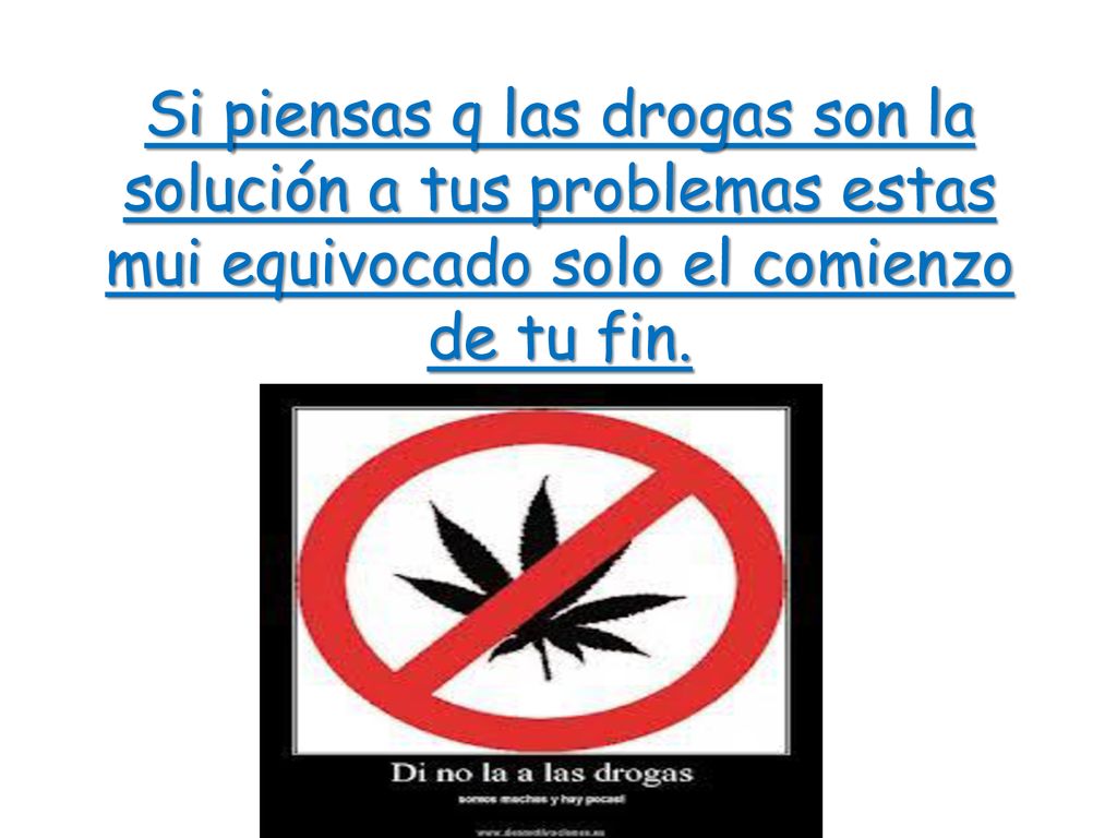 Si piensas q las drogas son la solución a tus problemas estas mui equivocado solo el comienzo de tu fin.