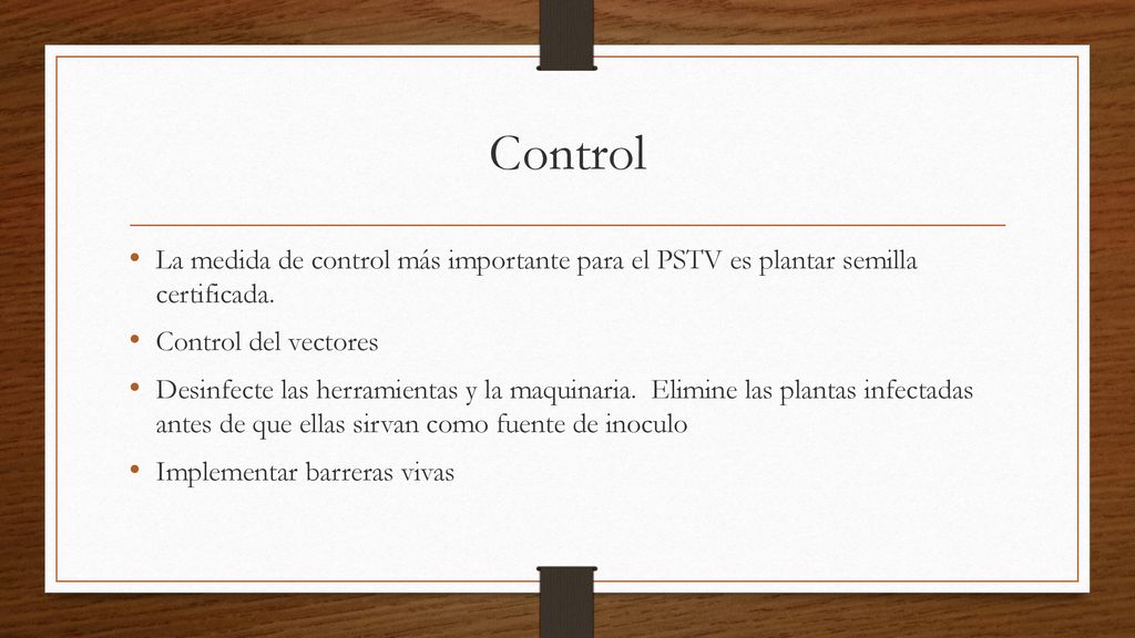 Control La medida de control más importante para el PSTV es plantar semilla certificada. Control del vectores.