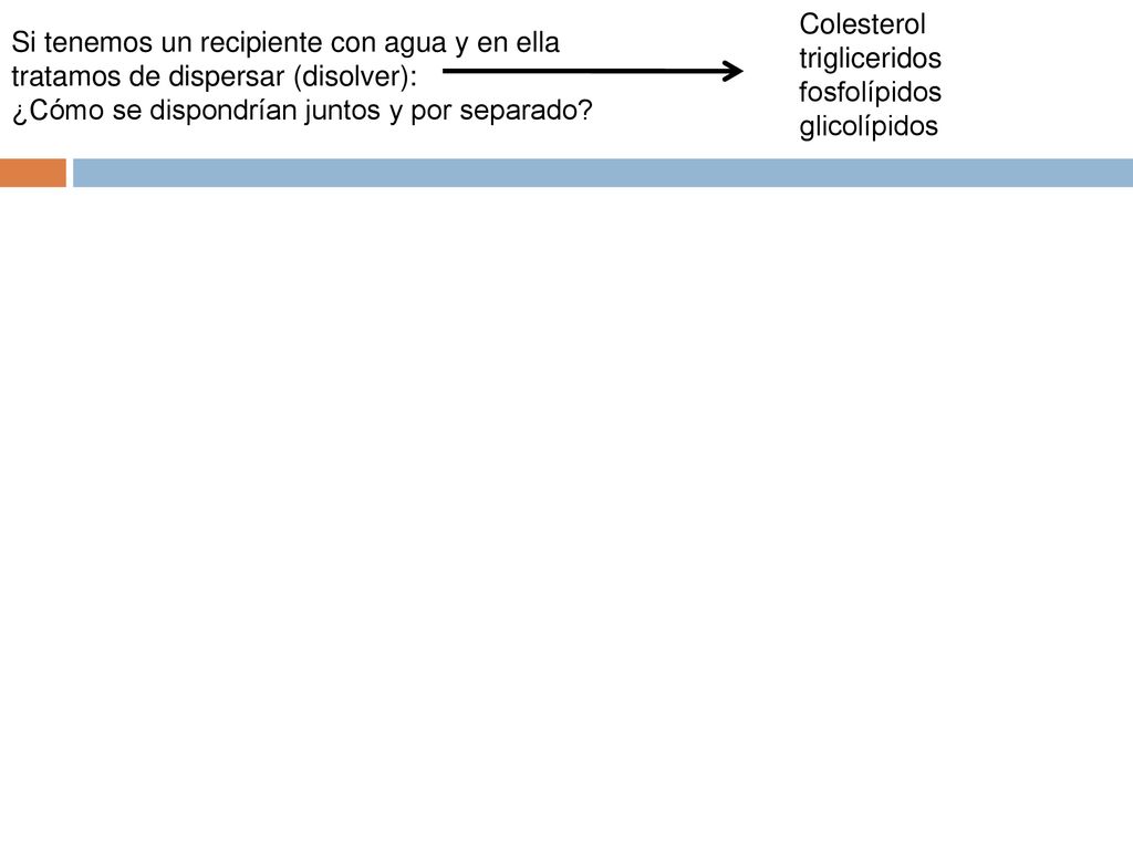 Colesterol trigliceridos. fosfolípidos. glicolípidos. Si tenemos un recipiente con agua y en ella tratamos de dispersar (disolver):