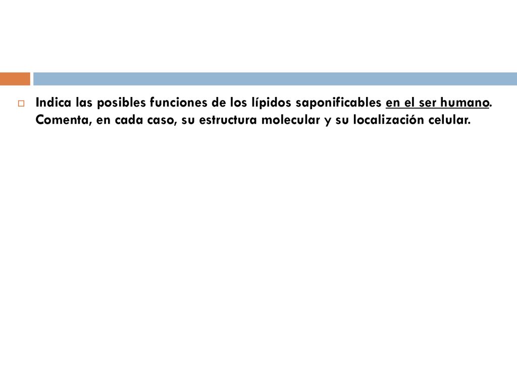 Indica las posibles funciones de los lípidos saponificables en el ser humano.