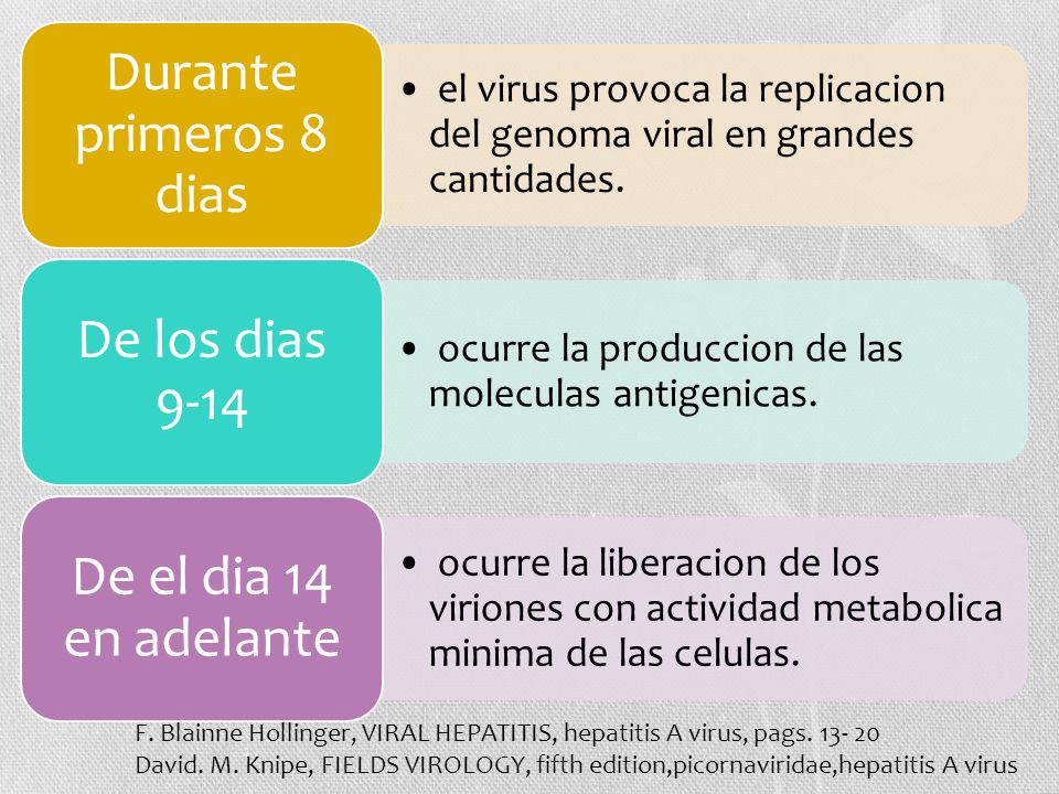 Durante primeros 8 dias De los dias 9-14 De el dia 14 en adelante