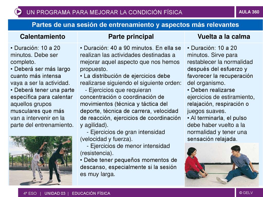 Partes de una sesión de entrenamiento y aspectos más relevantes