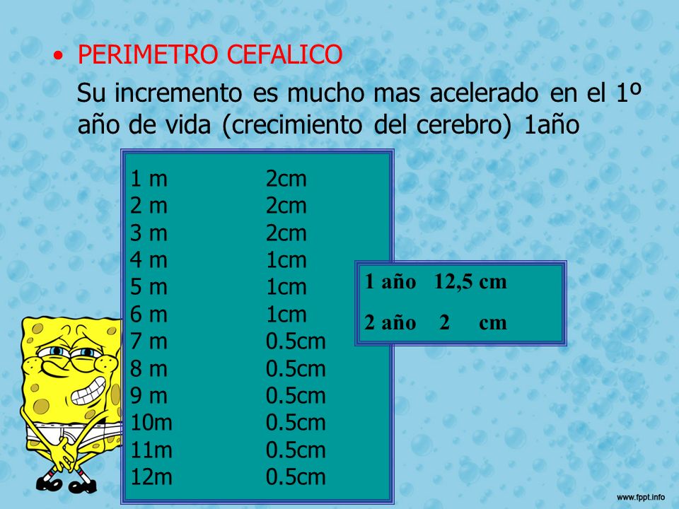 PERIMETRO CEFALICO Su incremento es mucho mas acelerado en el 1º año de vida (crecimiento del cerebro) 1año.