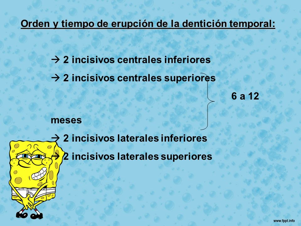 Orden y tiempo de erupción de la dentición temporal: