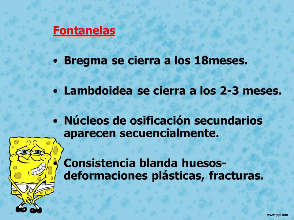 Fontanelas Bregma se cierra a los 18meses. Lambdoidea se cierra a los 2-3 meses. Núcleos de osificación secundarios aparecen secuencialmente.