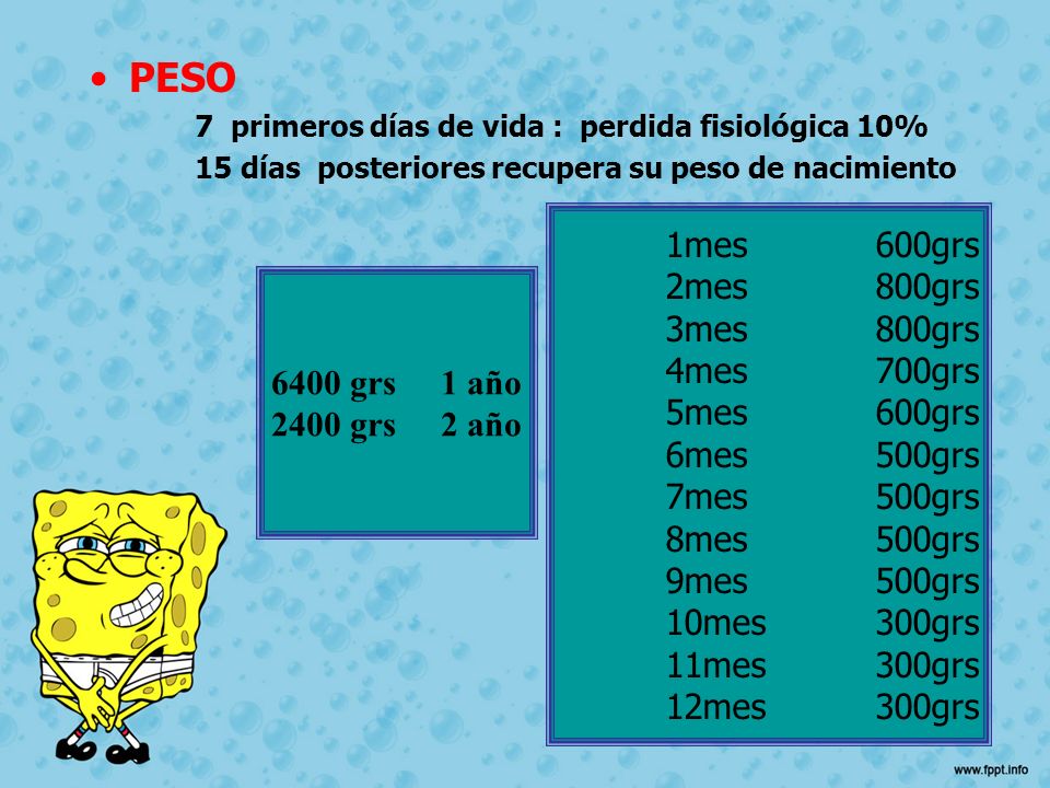 PESO 1mes 600grs 2mes 800grs 3mes 800grs 4mes 700grs 5mes 600grs