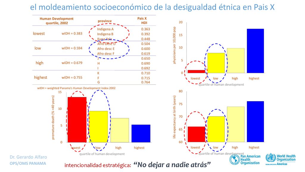 el moldeamiento socioeconómico de la desigualdad étnica en Pais X