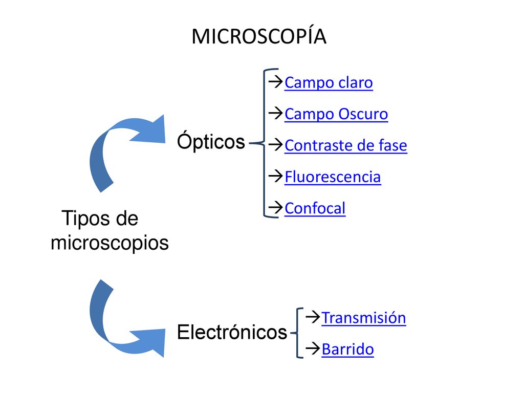 MICROSCOPÍA Ópticos Tipos de microscopios Electrónicos Campo claro