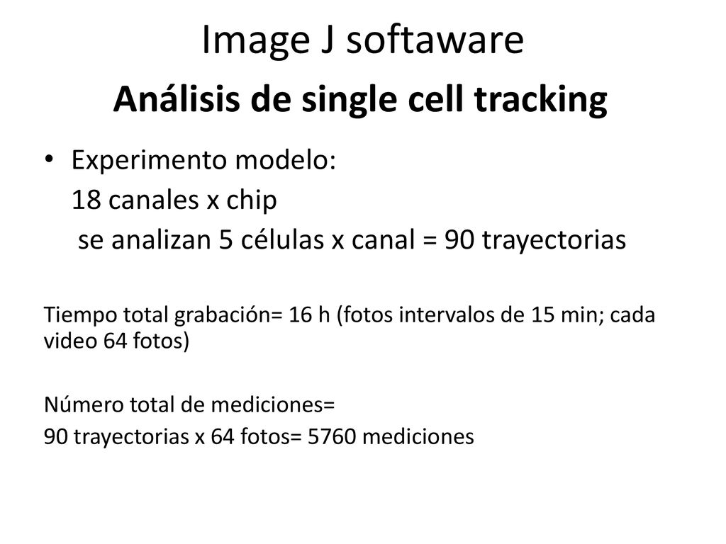 Image J softaware Análisis de single cell tracking Experimento modelo: