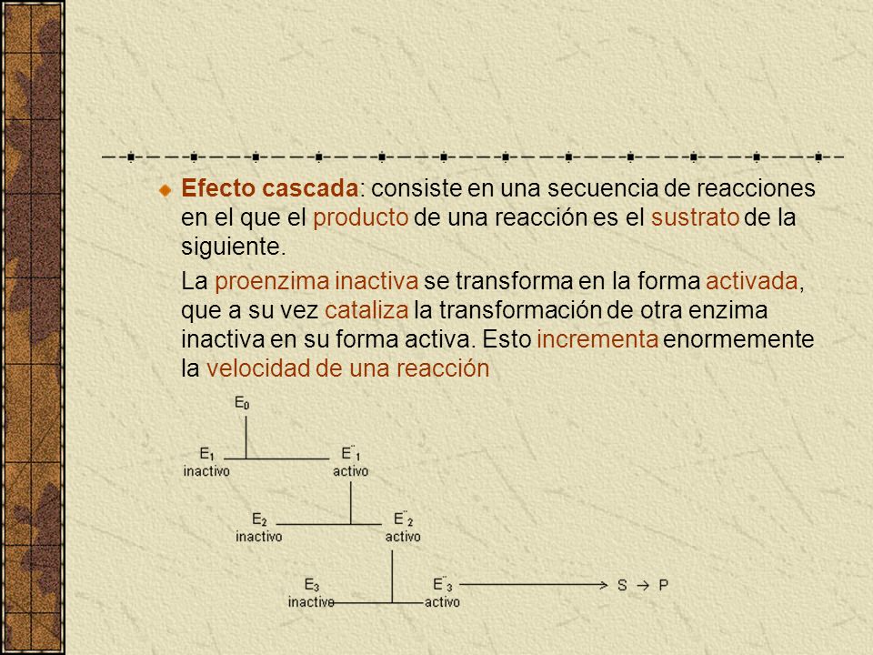 Efecto cascada: consiste en una secuencia de reacciones en el que el producto de una reacción es el sustrato de la siguiente.