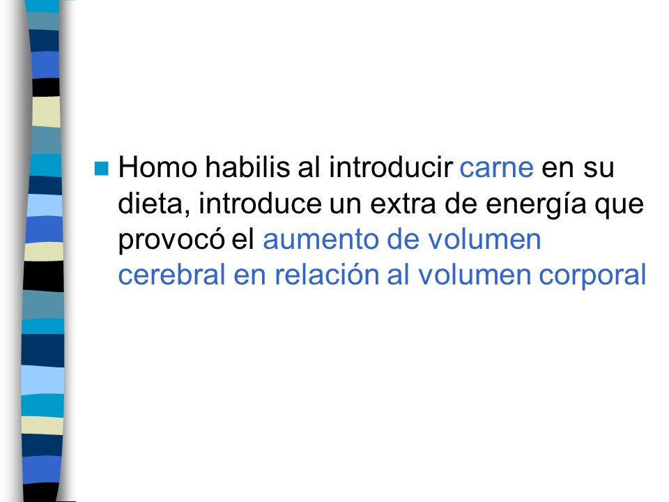 Homo habilis al introducir carne en su dieta, introduce un extra de energía que provocó el aumento de volumen cerebral en relación al volumen corporal