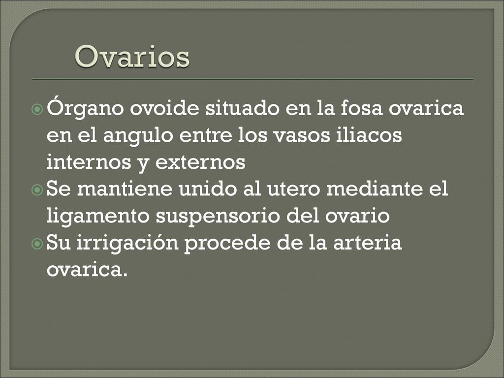 Ovarios Órgano ovoide situado en la fosa ovarica en el angulo entre los vasos iliacos internos y externos.