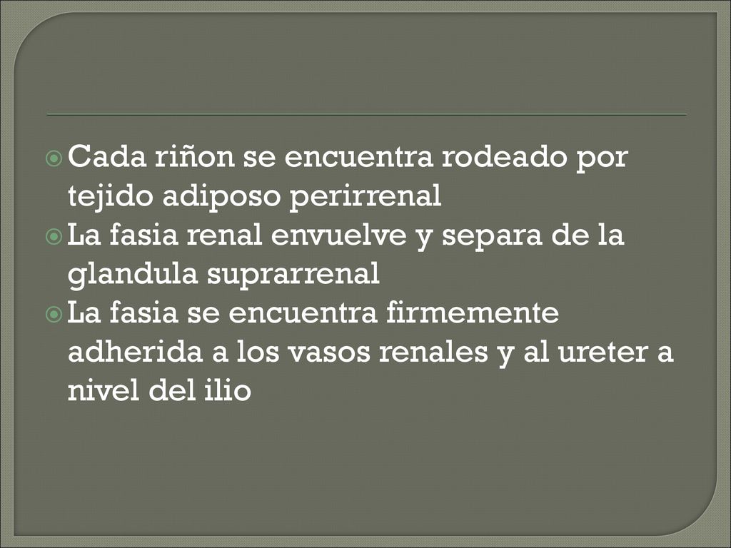 Cada riñon se encuentra rodeado por tejido adiposo perirrenal