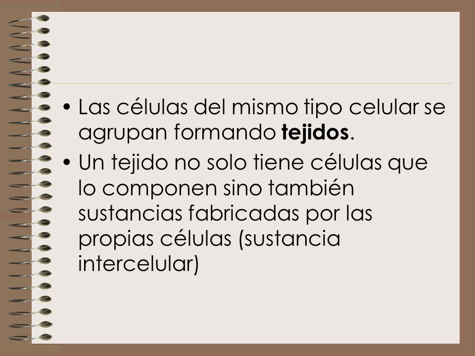 Las células del mismo tipo celular se agrupan formando tejidos.