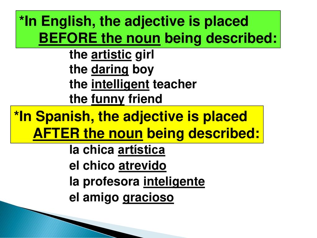 *In English, the adjective is placed BEFORE the noun being described: