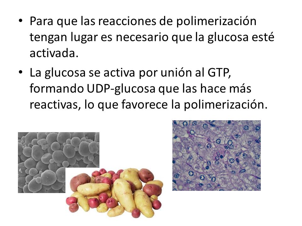 Para que las reacciones de polimerización tengan lugar es necesario que la glucosa esté activada.