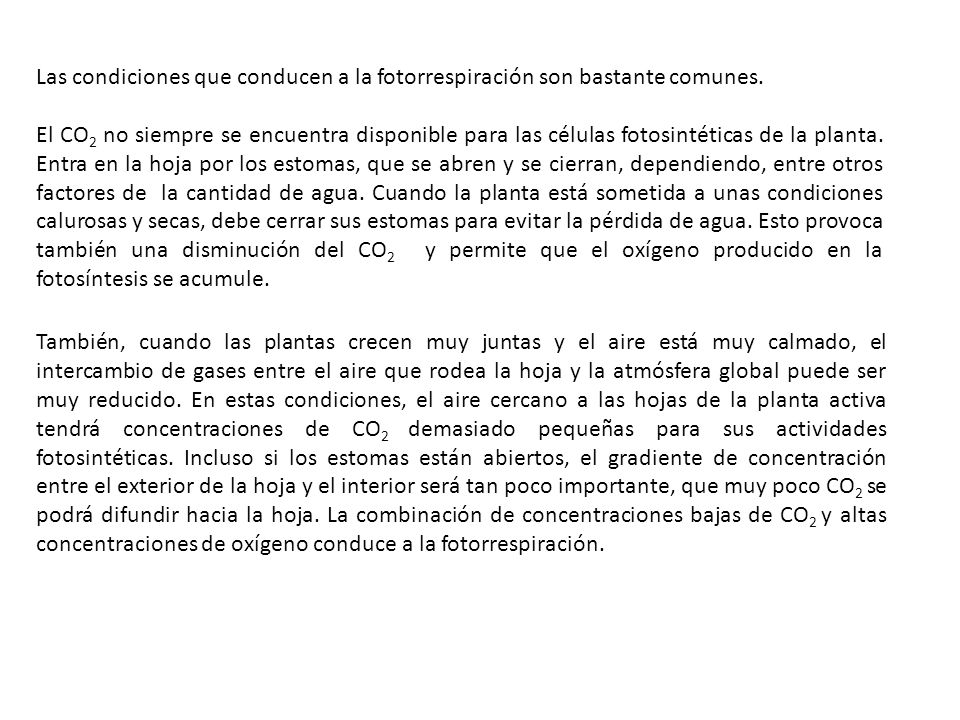 Las condiciones que conducen a la fotorrespiración son bastante comunes.