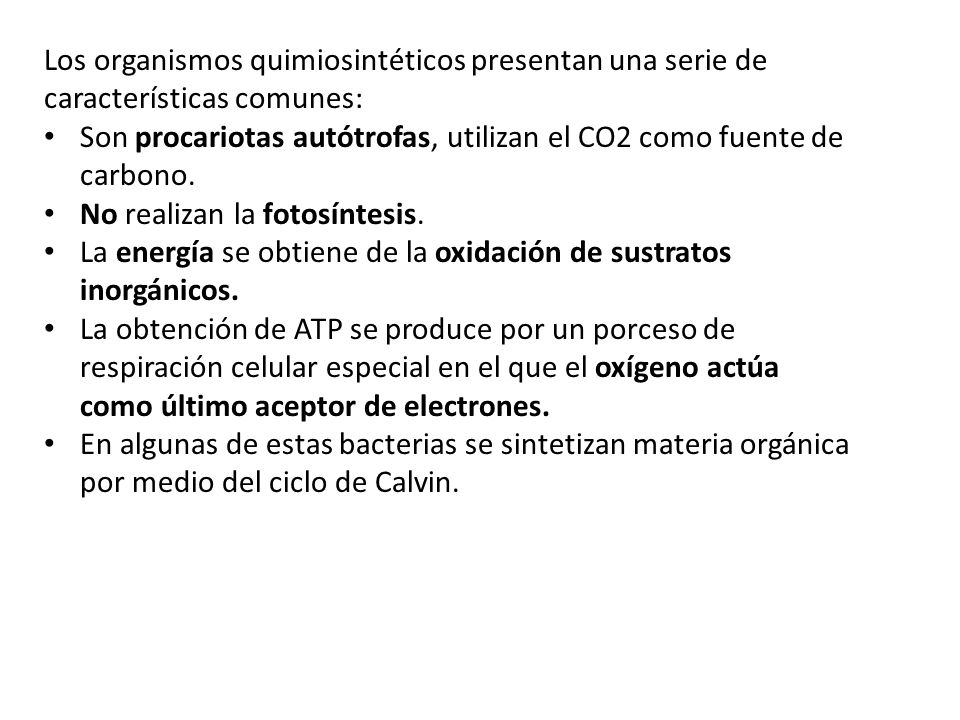 Los organismos quimiosintéticos presentan una serie de características comunes: