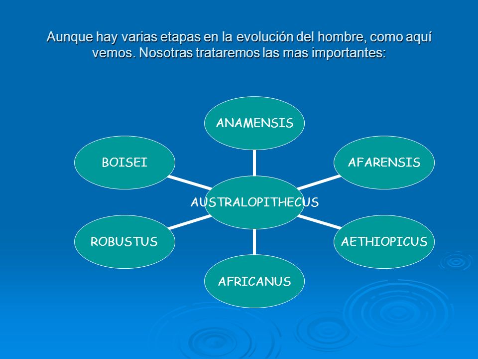 Aunque hay varias etapas en la evolución del hombre, como aquí vemos