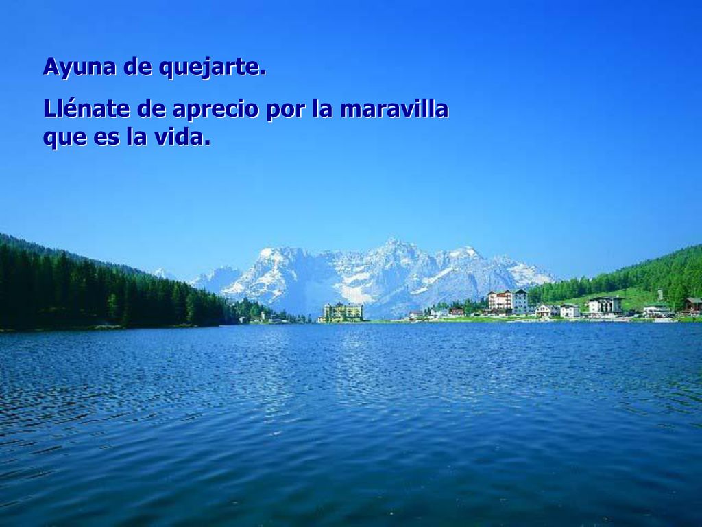 Ayuna de quejarte. Llénate de aprecio por la maravilla que es la vida.
