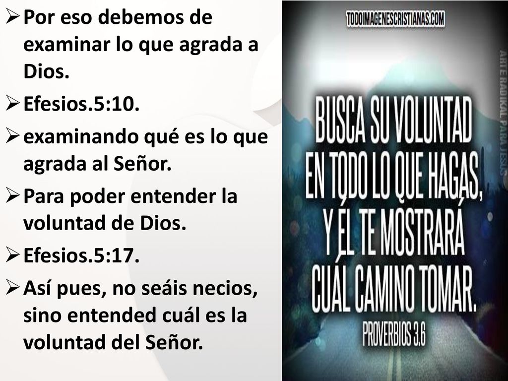 Por eso debemos de examinar lo que agrada a Dios.