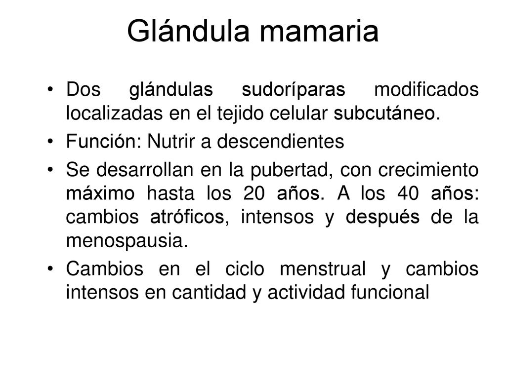 Glándula mamaria Dos glándulas sudoríparas modificados localizadas en el tejido celular subcutáneo.