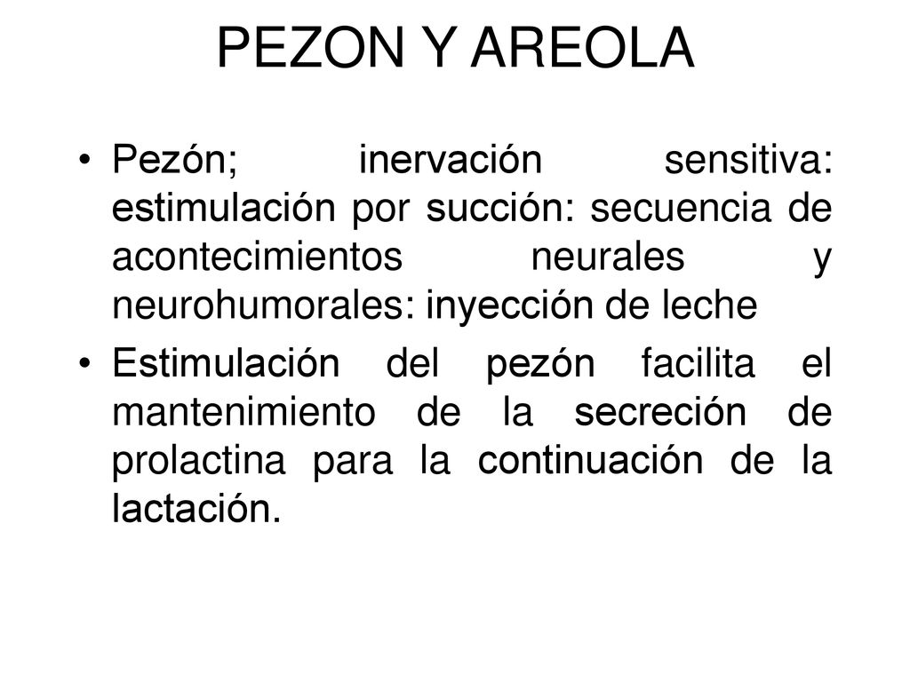 PEZON Y AREOLA Pezón; inervación sensitiva: estimulación por succión: secuencia de acontecimientos neurales y neurohumorales: inyección de leche.