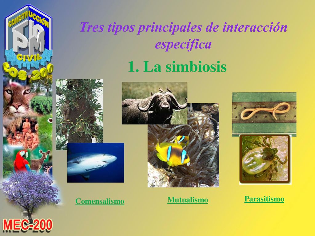 Tres tipos principales de interacción específica
