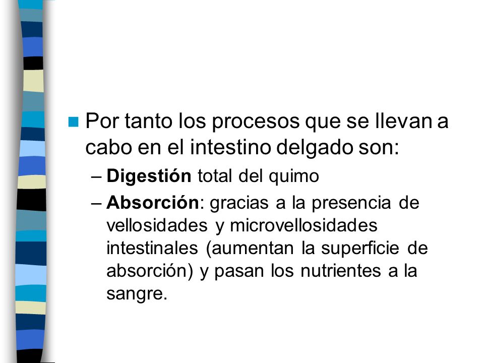 Por tanto los procesos que se llevan a cabo en el intestino delgado son: