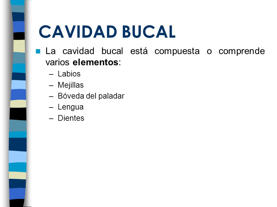 CAVIDAD BUCAL La cavidad bucal está compuesta o comprende varios elementos: Labios. Mejillas. Bóveda del paladar.