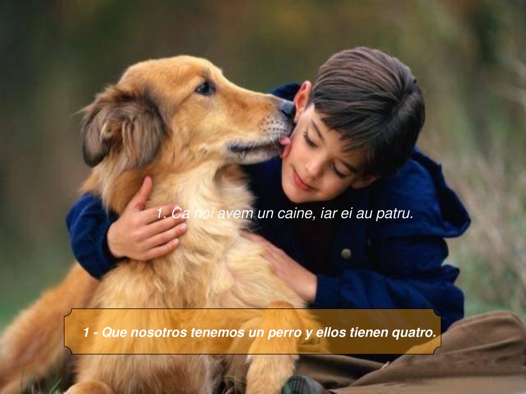 1 - Que nosotros tenemos un perro y ellos tienen quatro.