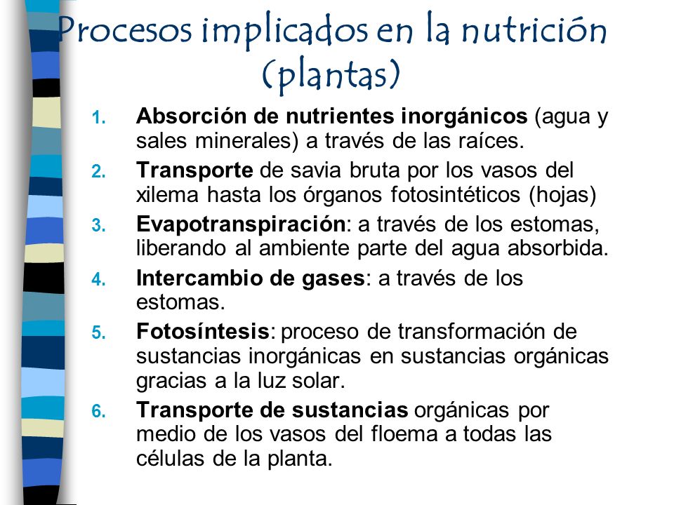 Procesos implicados en la nutrición (plantas)