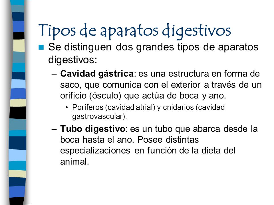 Tipos de aparatos digestivos