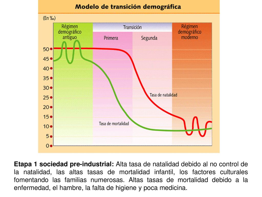 Etapa 1 sociedad pre-industrial: Alta tasa de natalidad debido al no control de la natalidad, las altas tasas de mortalidad infantil, los factores culturales fomentando las familias numerosas.