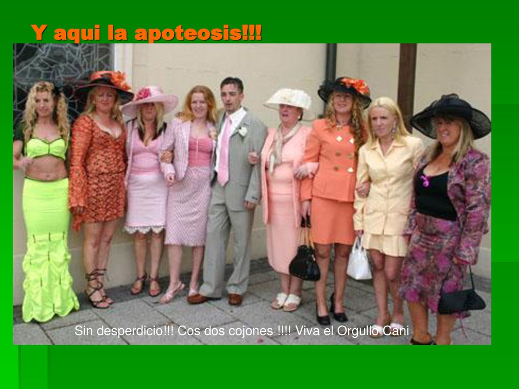 Y aqui la apoteosis!!! Sin desperdicio!!! Cos dos cojones !!!! Viva el Orgullo Cani
