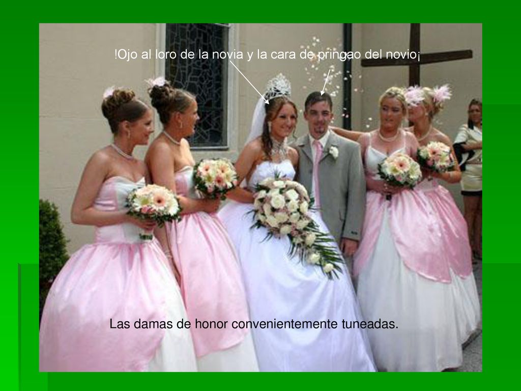 !Ojo al loro de la novia y la cara de pringao del novio¡