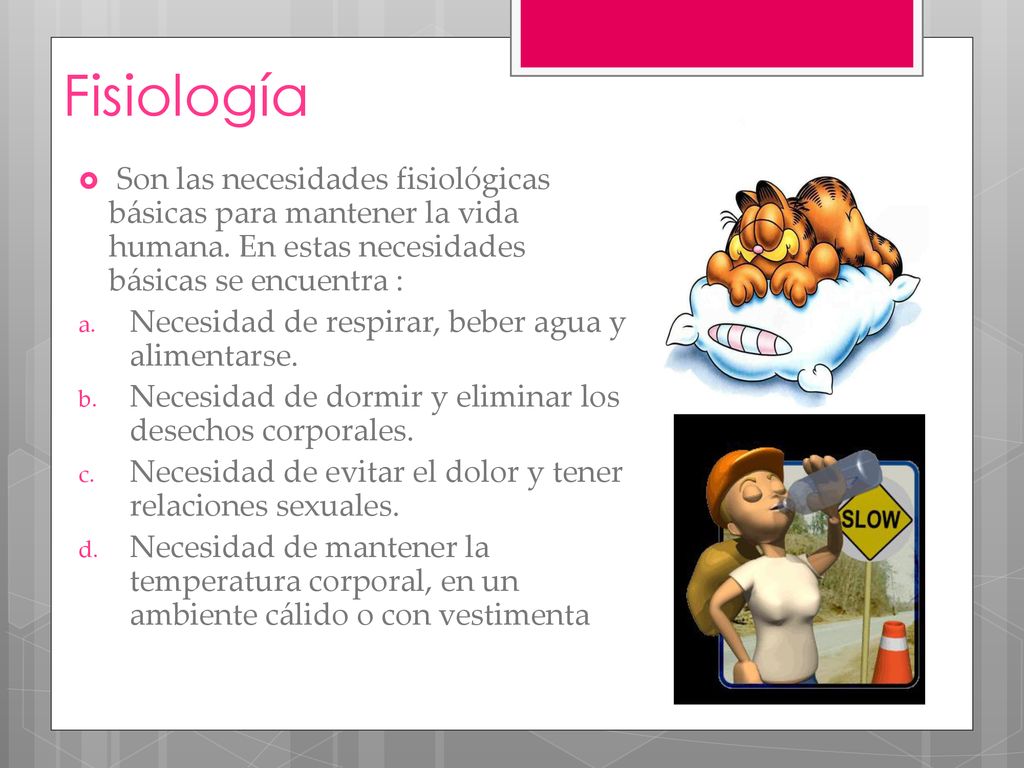 Fisiología Son las necesidades fisiológicas básicas para mantener la vida humana. En estas necesidades básicas se encuentra :