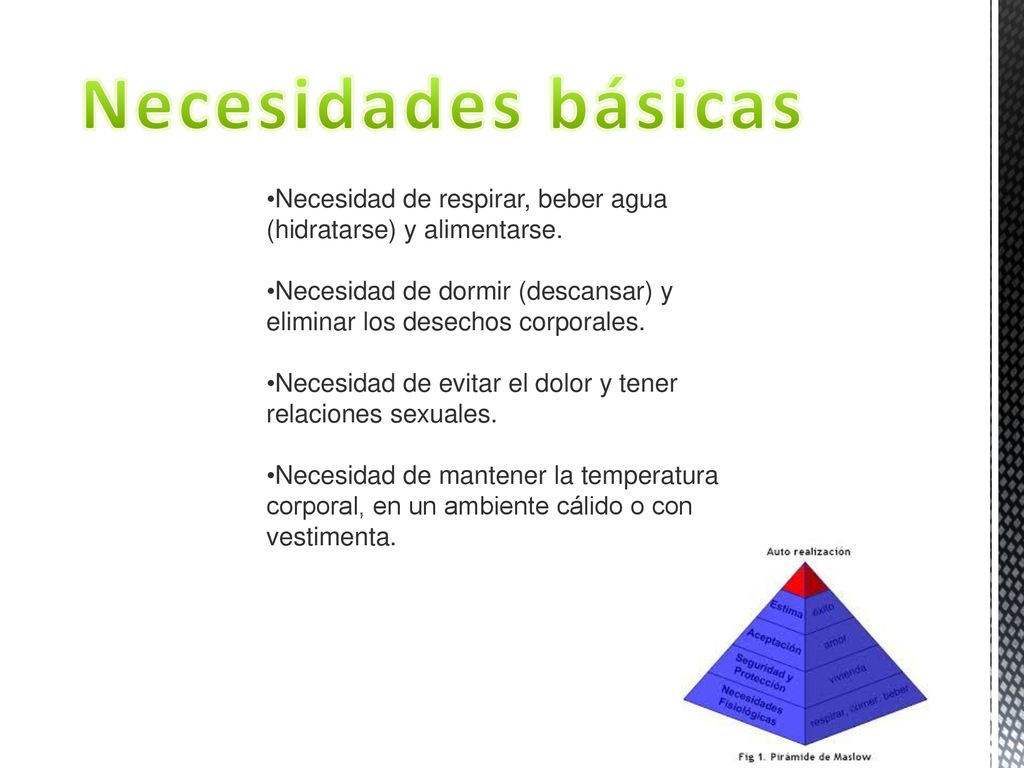 Necesidades básicas Necesidad de respirar, beber agua (hidratarse) y alimentarse.