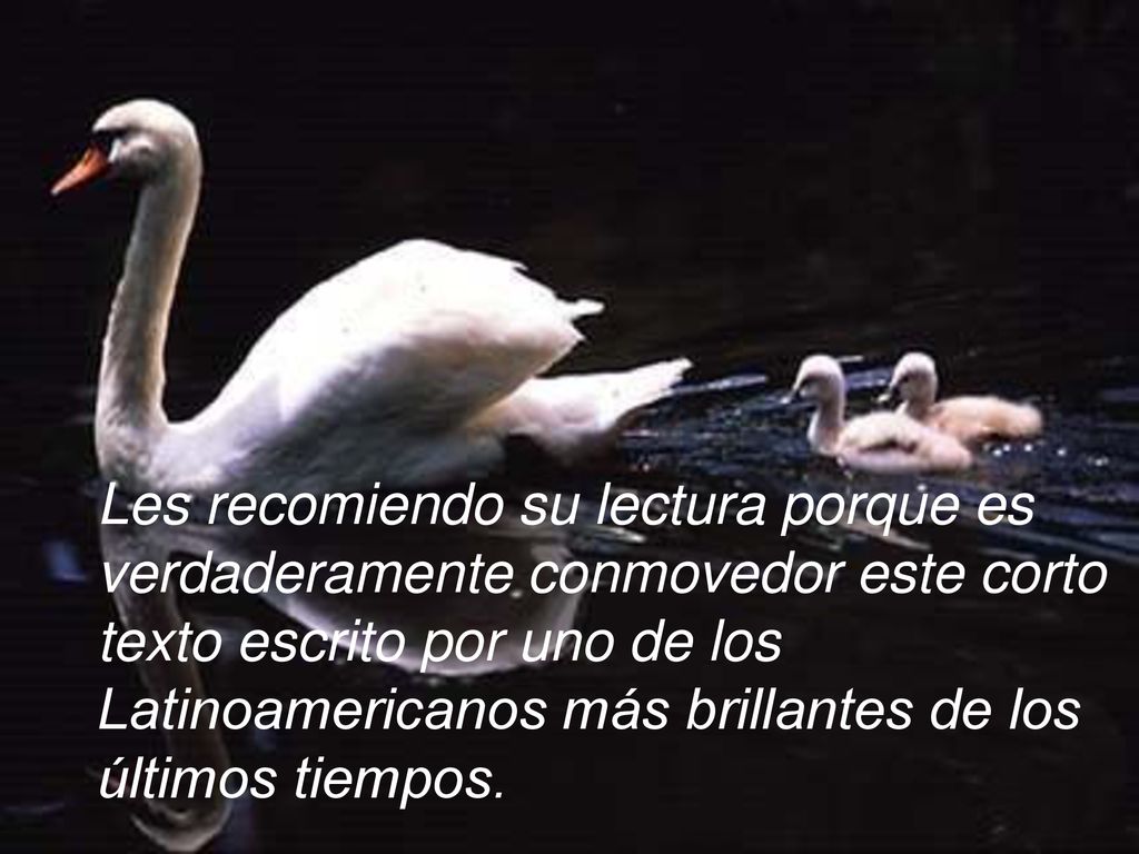 Les recomiendo su lectura porque es verdaderamente conmovedor este corto texto escrito por uno de los Latinoamericanos más brillantes de los últimos tiempos.