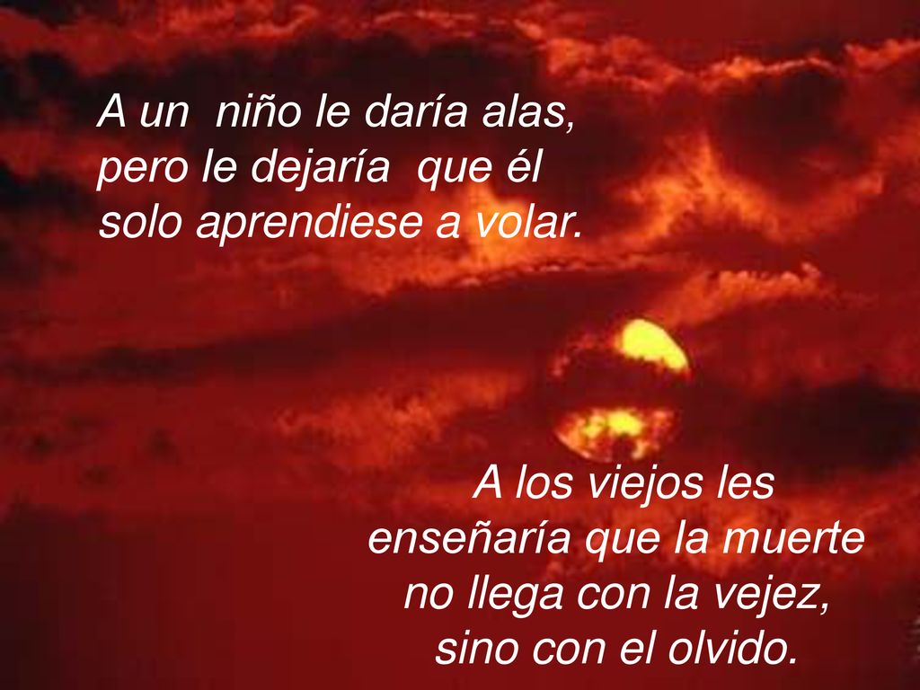 A un niño le daría alas, pero le dejaría que él solo aprendiese a volar.